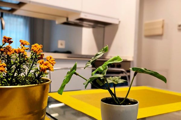 Apartamentos 89 Apartamento turistico en Najera planta baja7