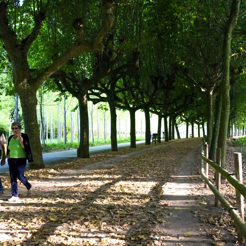 Descubre Nájera 29 paseo caminantes